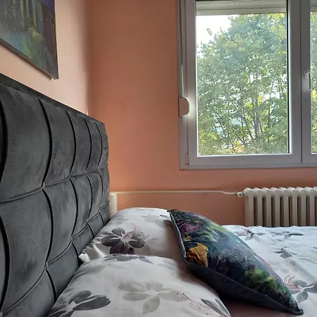 Apartman Mountain View Pirot