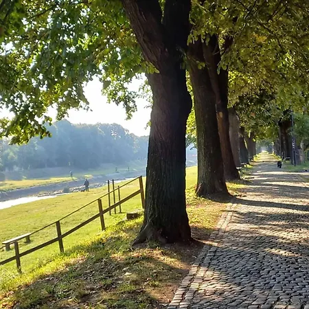 דירה Mountain View פירוט