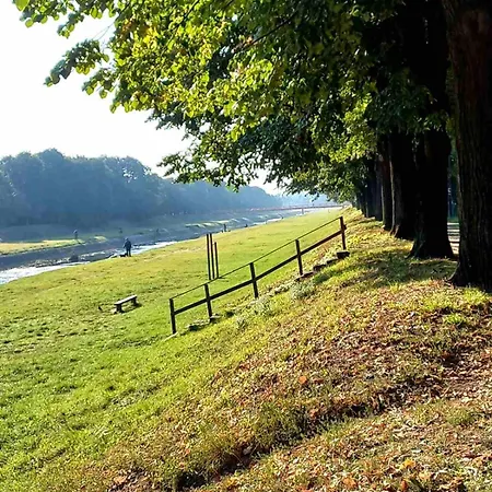 Mountain View بايرت