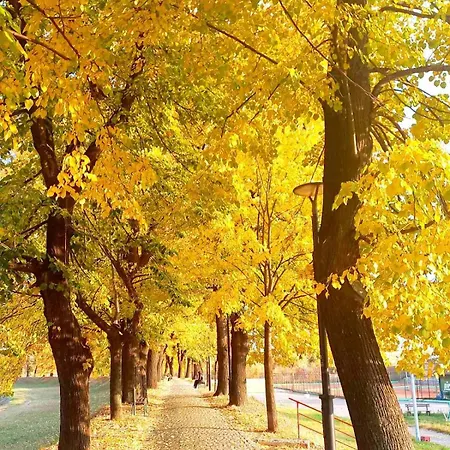 شقة Mountain View