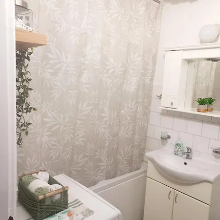 Apartman Mountain View Pirot