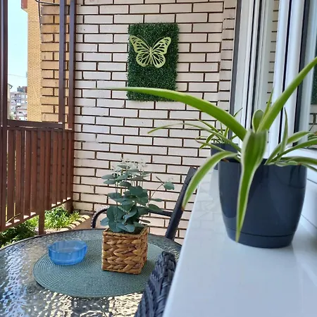 Mountain View * פירוט