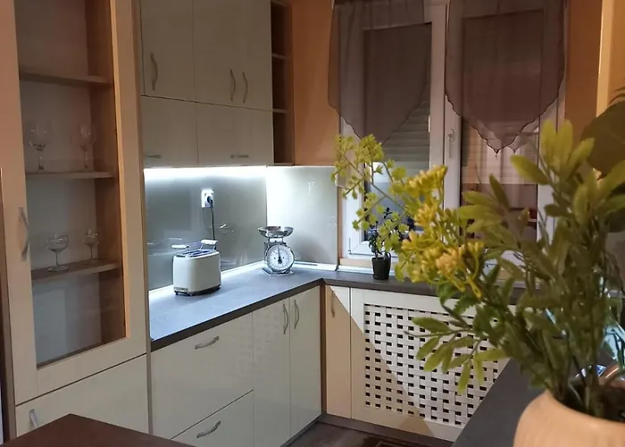 Mountain View * Пирот