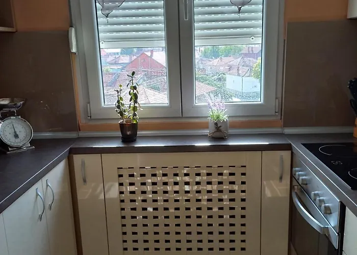 Апартаменты Mountain View Пирот