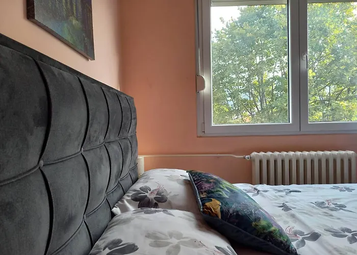 Апартаменты Mountain View Пирот