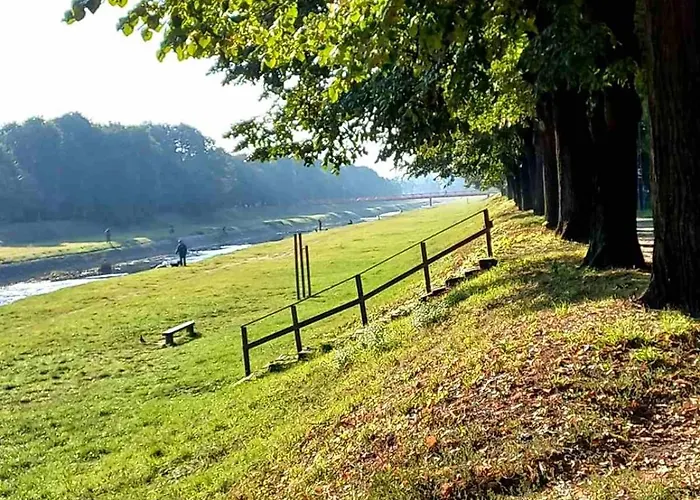 Mountain View Пирот