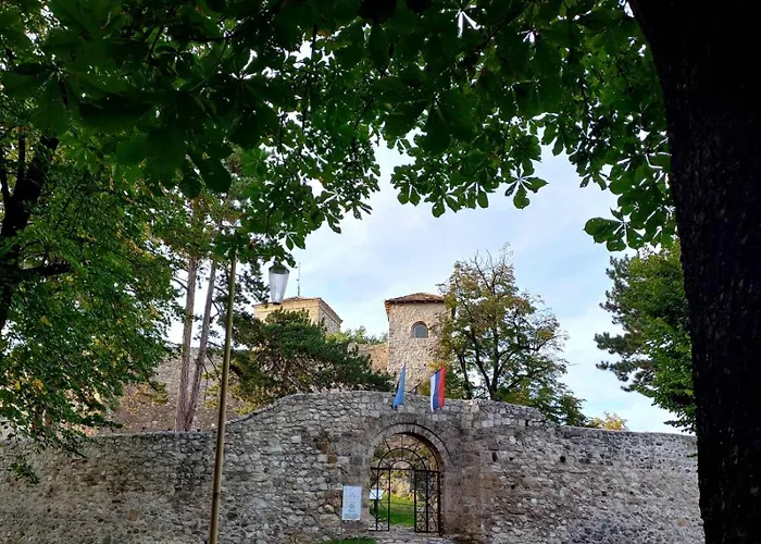 Mountain View Пирот