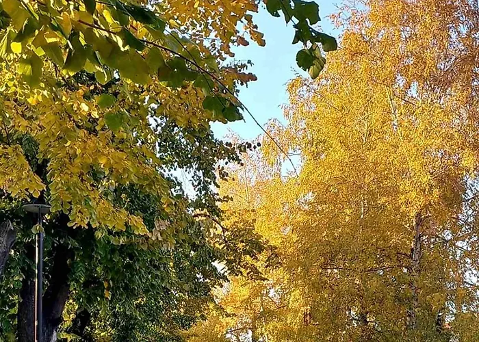 Mountain View * Пирот