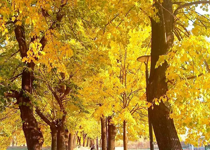 Апартаменты Mountain View