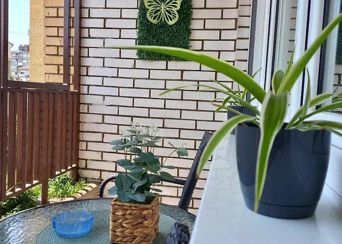 Mountain View * Пирот